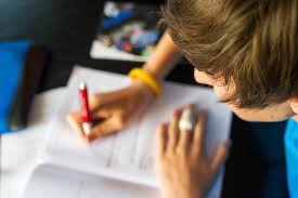custom essay