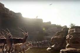 The Jungle Book 2016